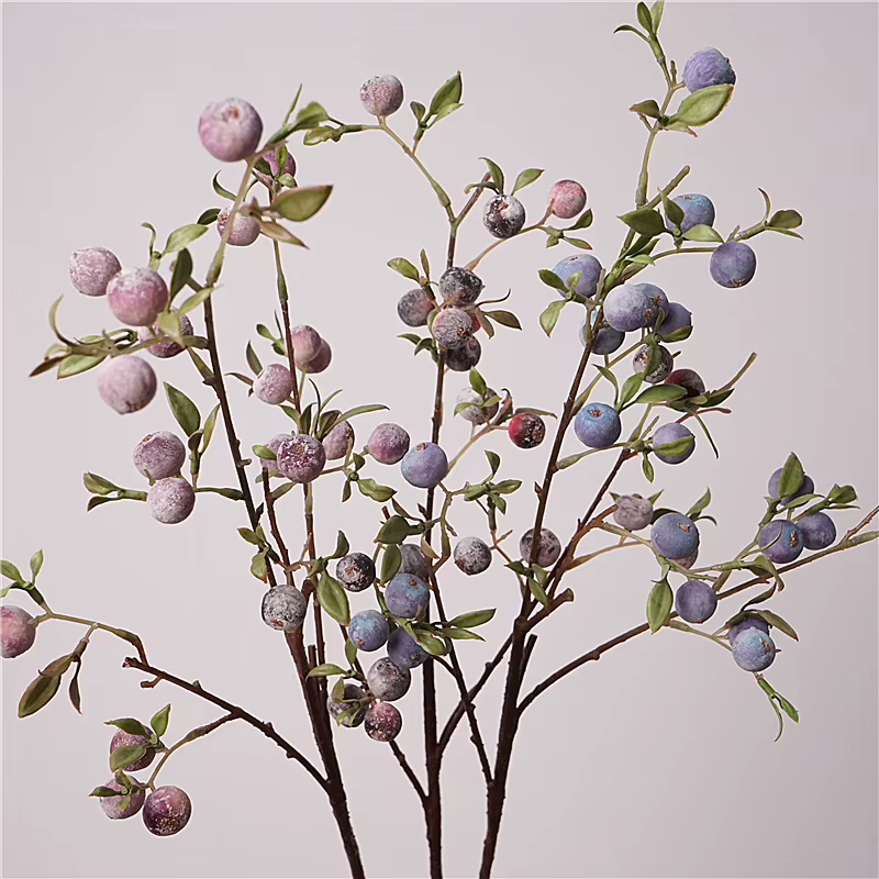 Ornements de fruits de jardinage
