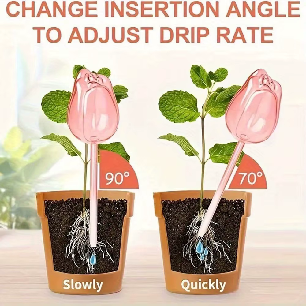 Boules d'arrosage pour plantes tulipes roses de jardin