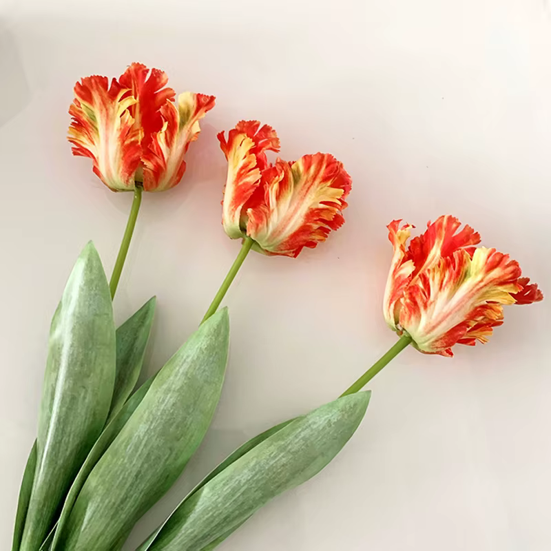 Branche de tulipe perroquet 3D de luxe