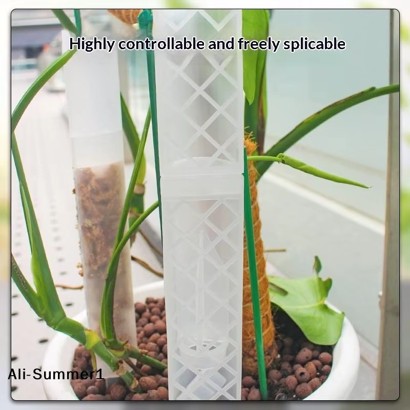 Support de croissance pour plantes en forme