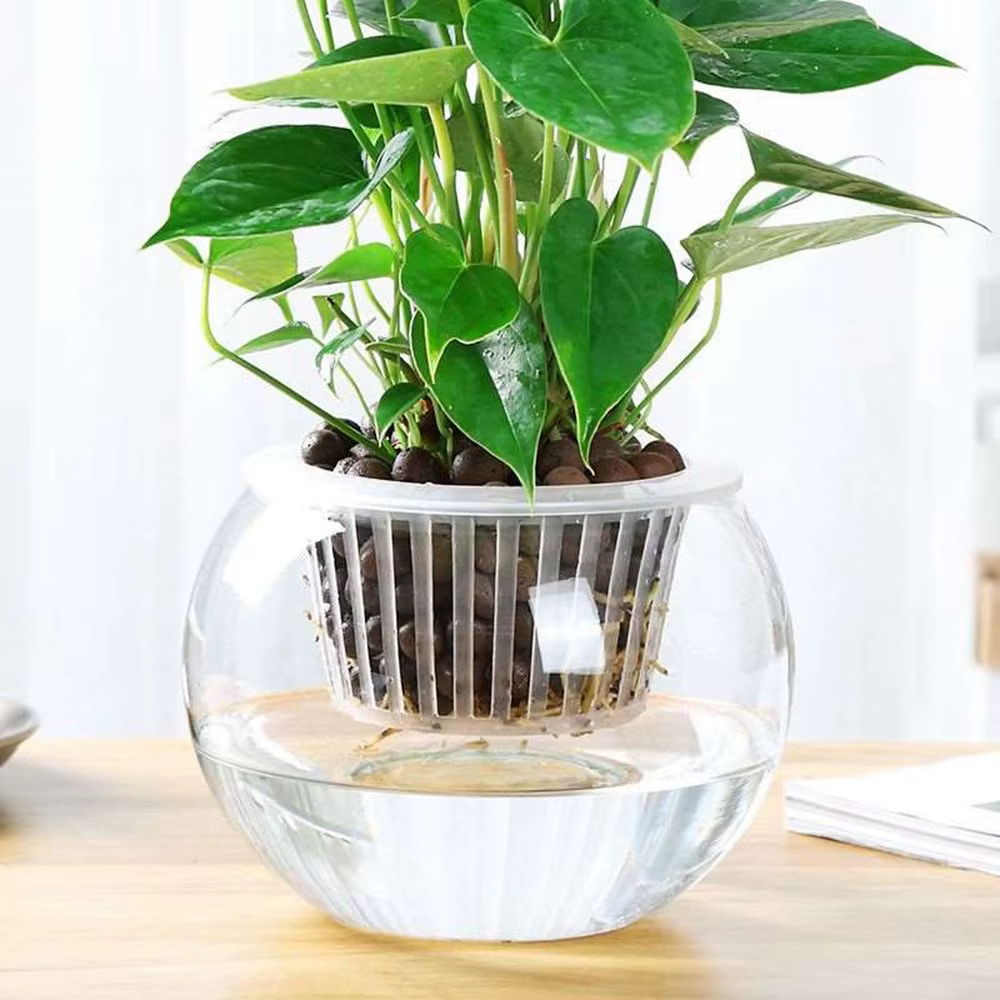 Pot en maille de colonisation hydroponique