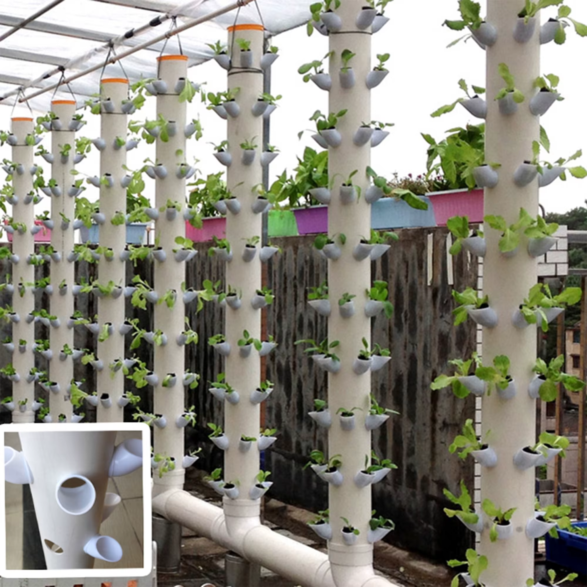 Lita – système de plantation hydroponique pour fruits et légumes