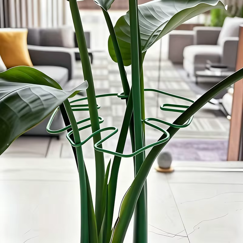 Grand cadre de Support pour plantes Monstera