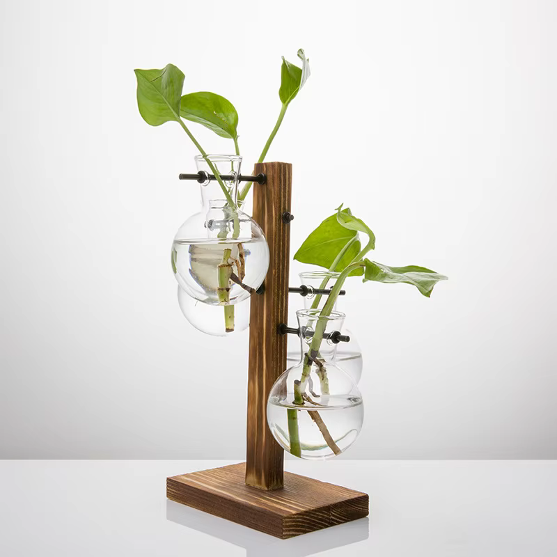 Vase en verre pour plantes hydroponiques