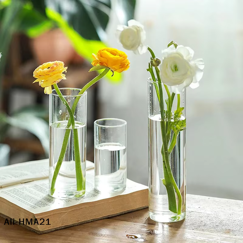 【H】Vase en verre pour plantes hydroponiques