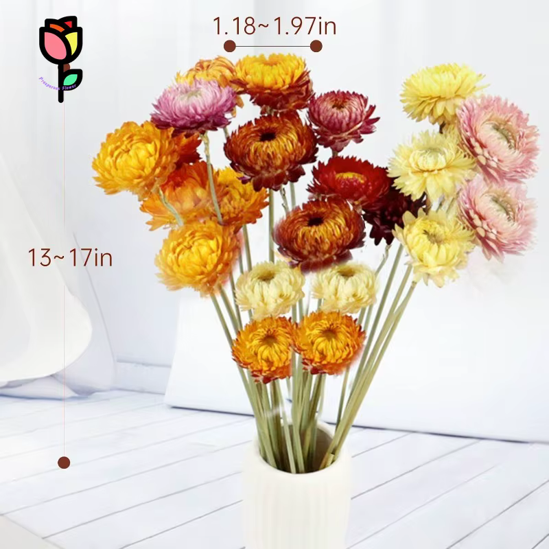 Fleurs de marguerite naturelles, 15 tiges, marguerites multicolores, tournesols artificiels, fleurs sèches d'automne, fleurs oranges, bouquets DIY pour vase, décoration de la maison