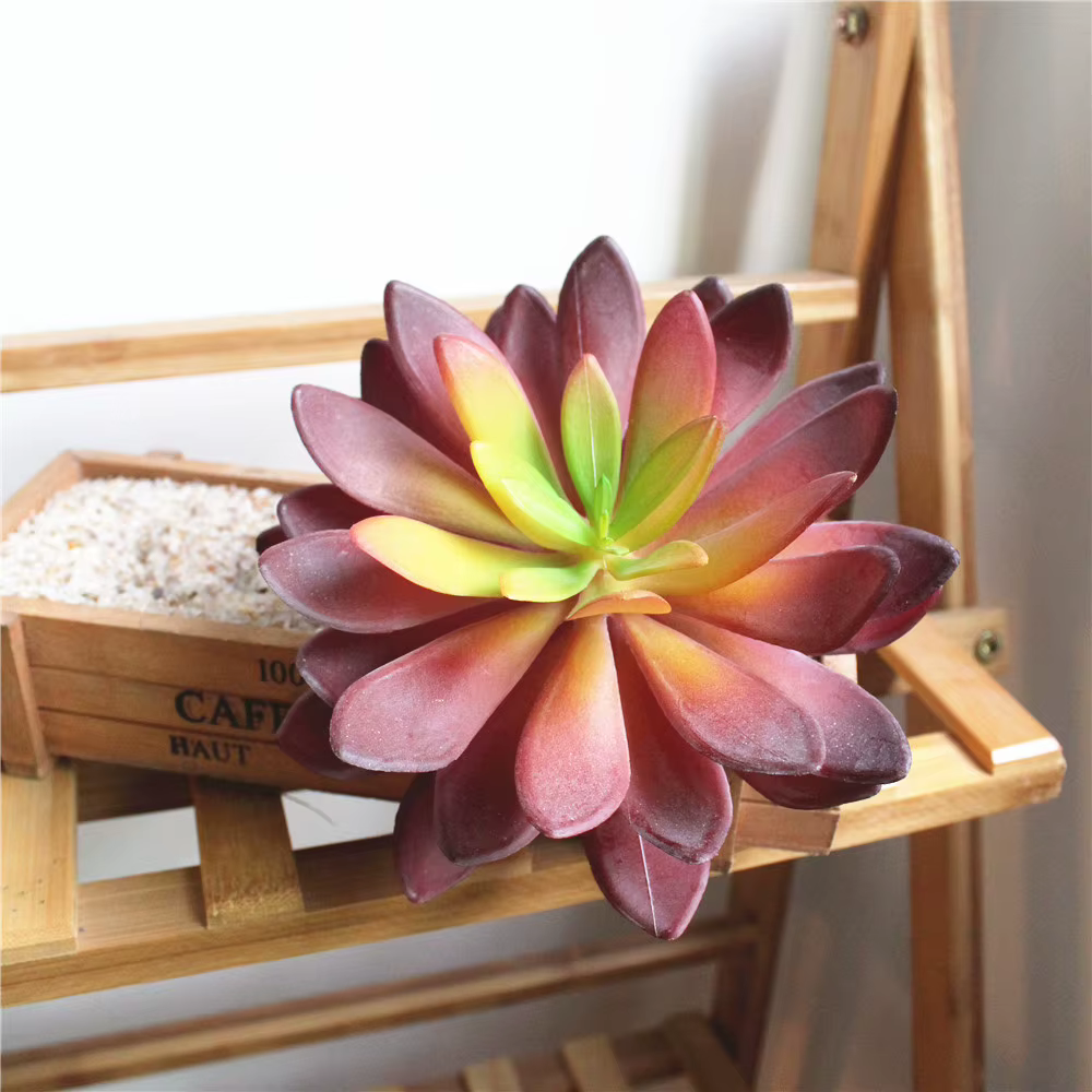 Tête de fleur de Lotus vert rouge