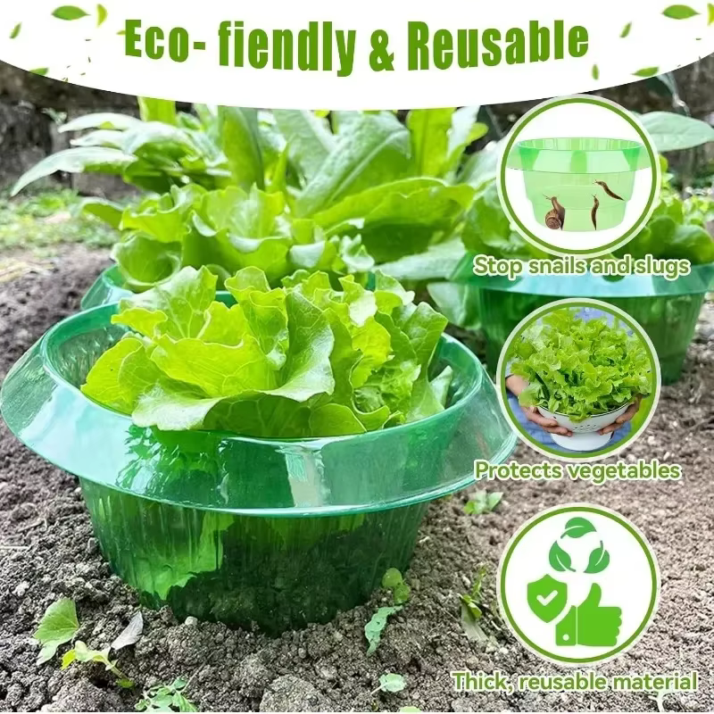 Anneaux de Protection des limaces pour plantes