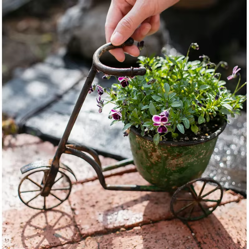 Jardinière de fleurs de vélo Vintage
