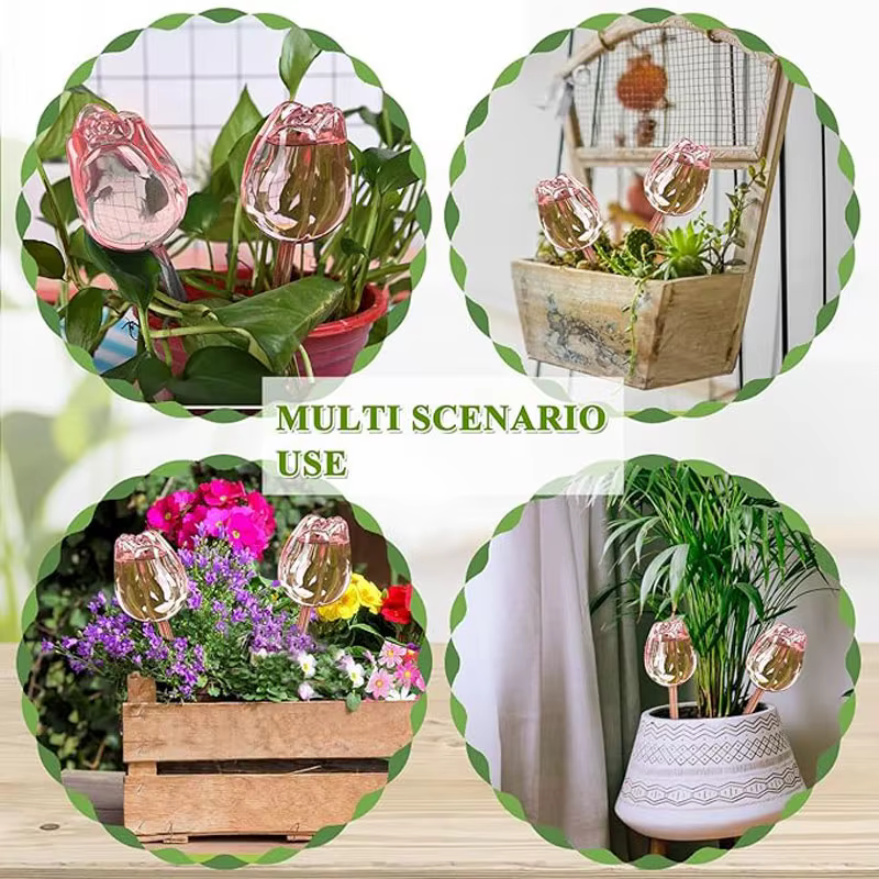 Dispositif d'arrosage créatif pour plantes de jardin Tulip