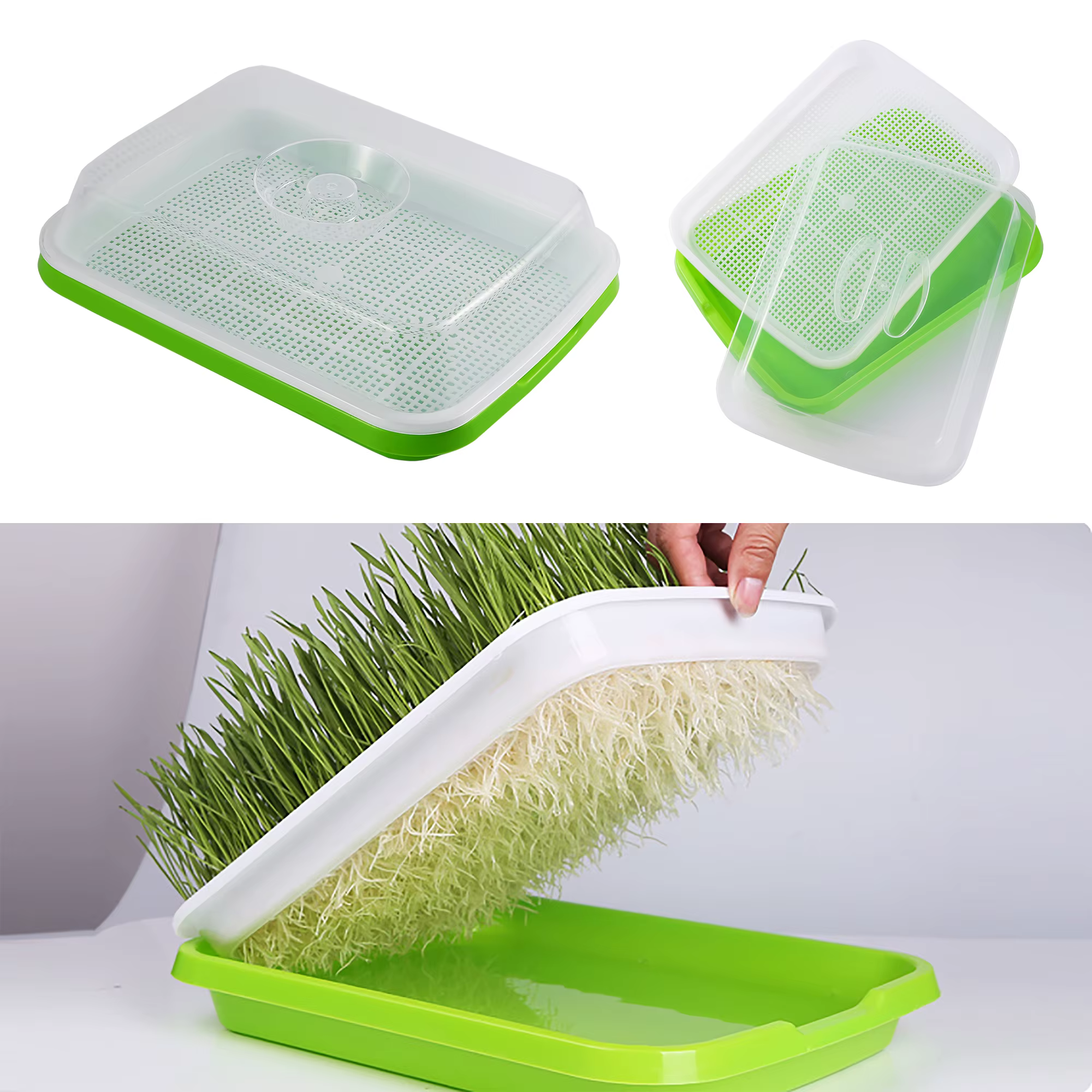 Kit de germination sans sol pour les cadres de germination