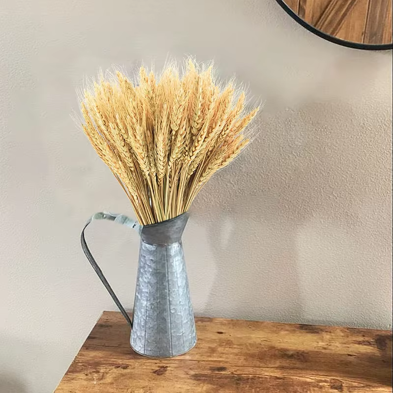 50/100/200 pièces tiges de blé séché fleur naturelle décor à la maison fête mariage ferme hôtel
