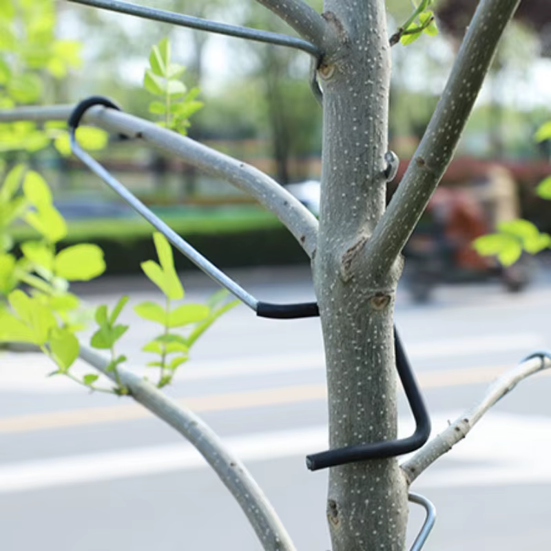 Support de Branches d'arbre fruitier