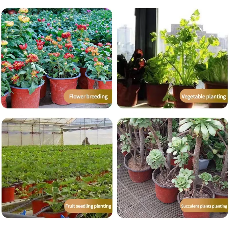 Pot de fleurs en plastique pour culture de plantes succulentes