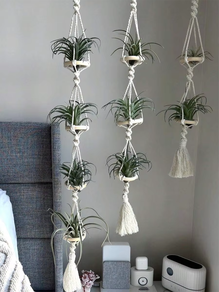 Cintres Muraux en Macramé pour Plantes à Air