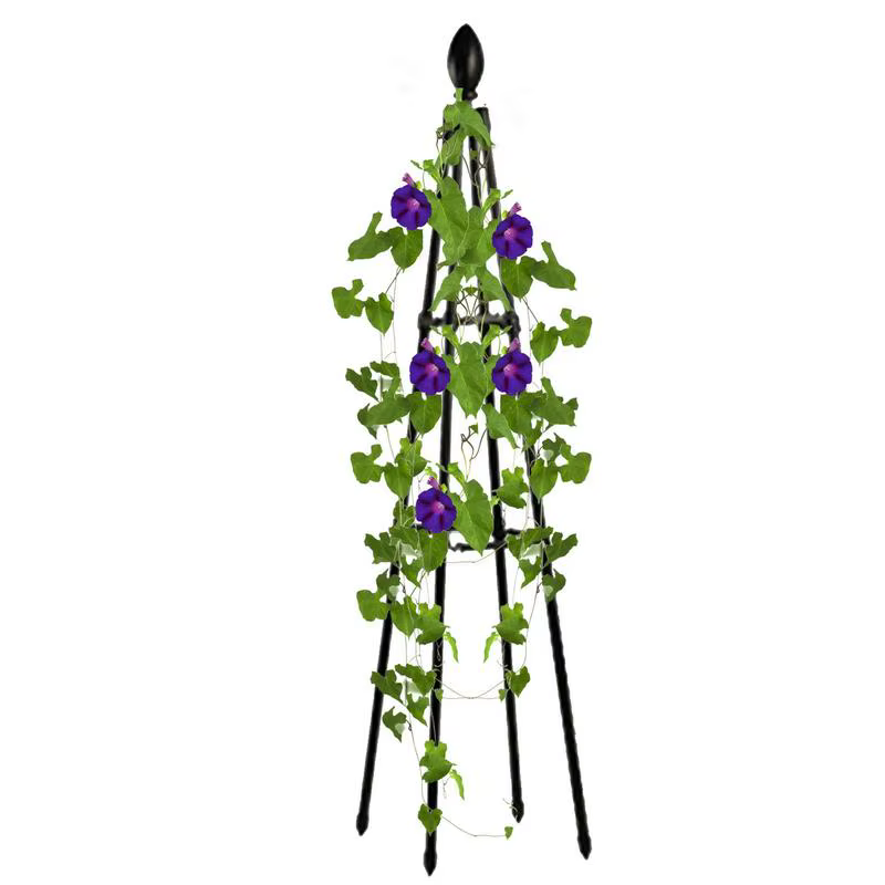 Supports de fleurs de vigne grimpante de jardin