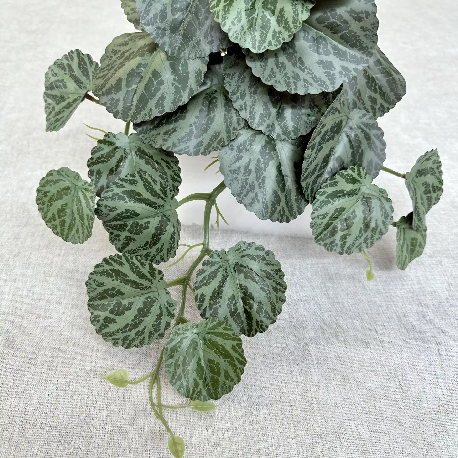 Plantes vertes simulées d'aloès vert