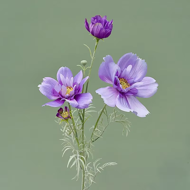 Gesang-Fausse fleur cosmos à branche unique