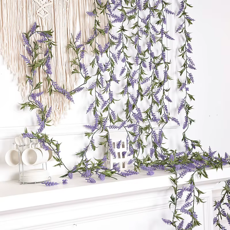 Plante de décoration pour la maison