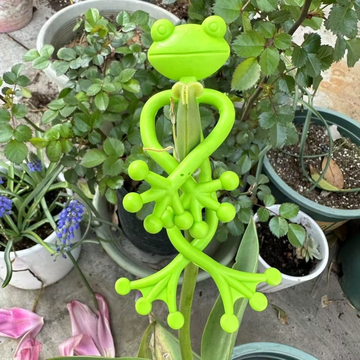 Tutors pour plantes, accessoires de jardin de légumes