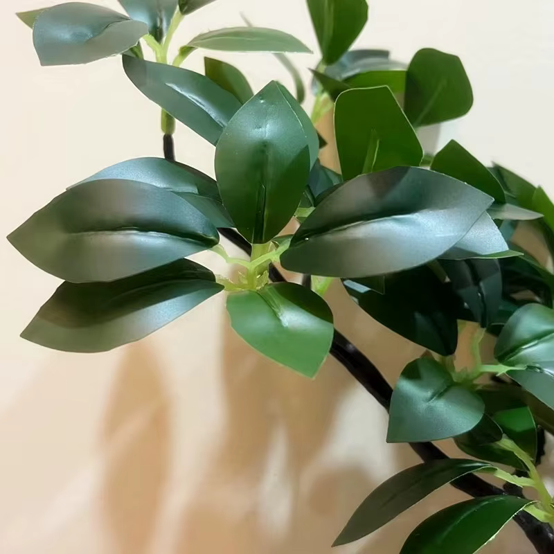 5 pièces artificielle Peperomia Sterm Tetraphylla branche d'arbre plante verte subtropicale