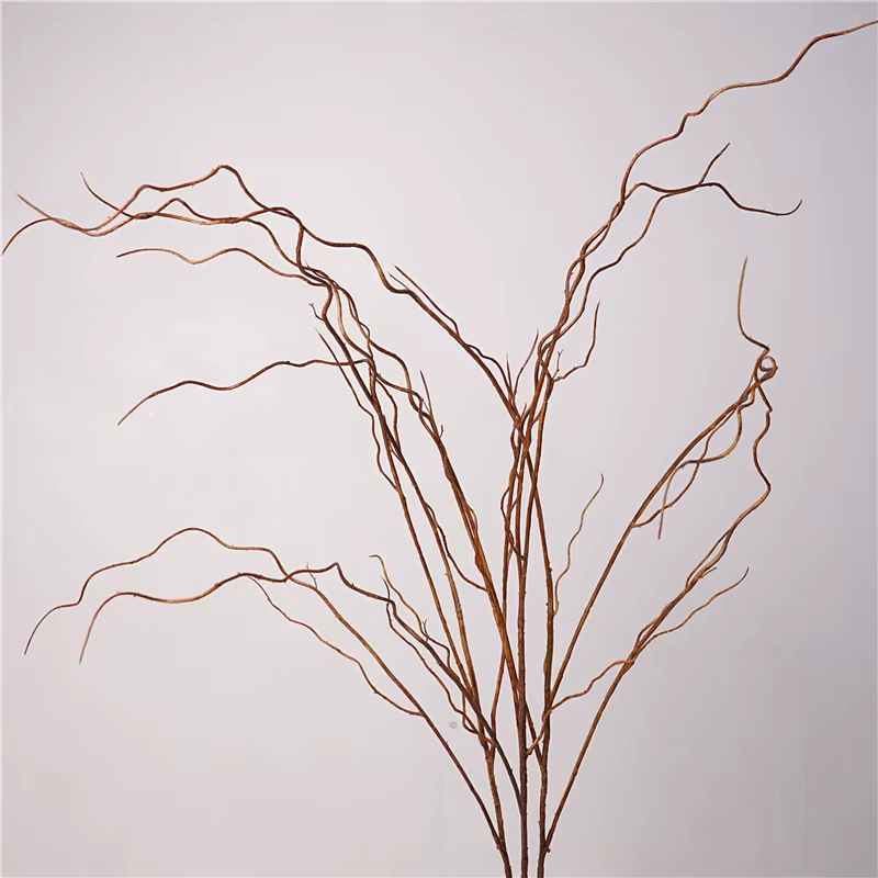 Simulation de Branches vaccées