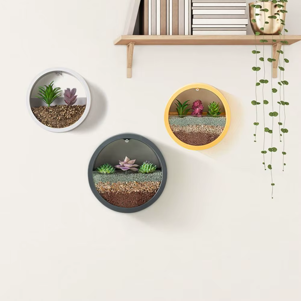 Pot de fleurs suspendu mural intérieur sans perçage pour plantes vertes