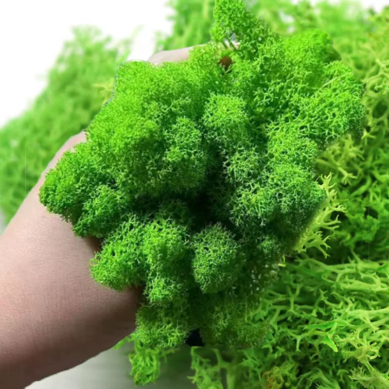 Plantes vertes artificielles