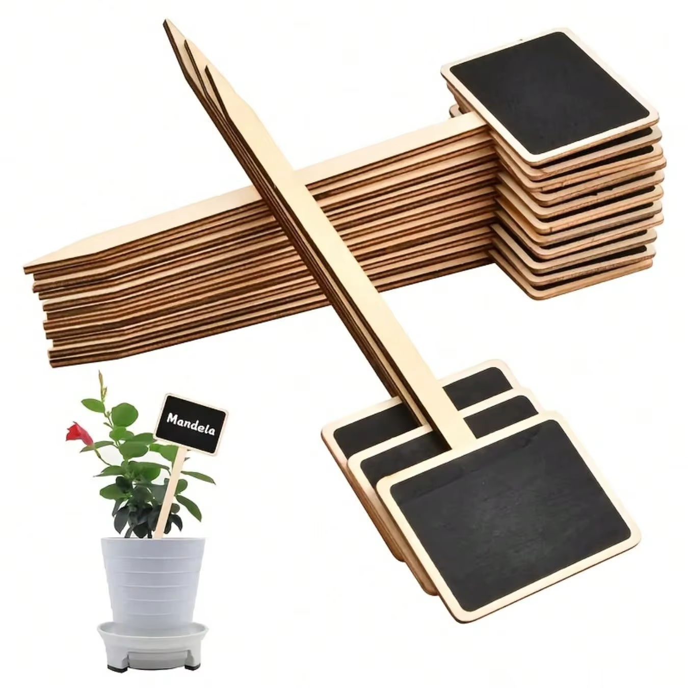 Ensemble de 10 étiquettes de plantes rustiques en bois