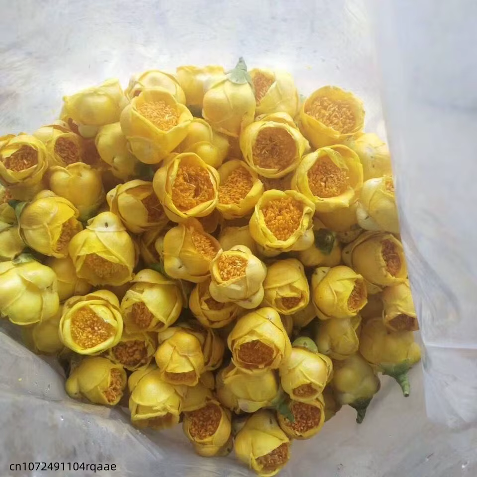 Fleur de Camellia Nitidissima séchée de qualité supérieure 50g/100g/200g