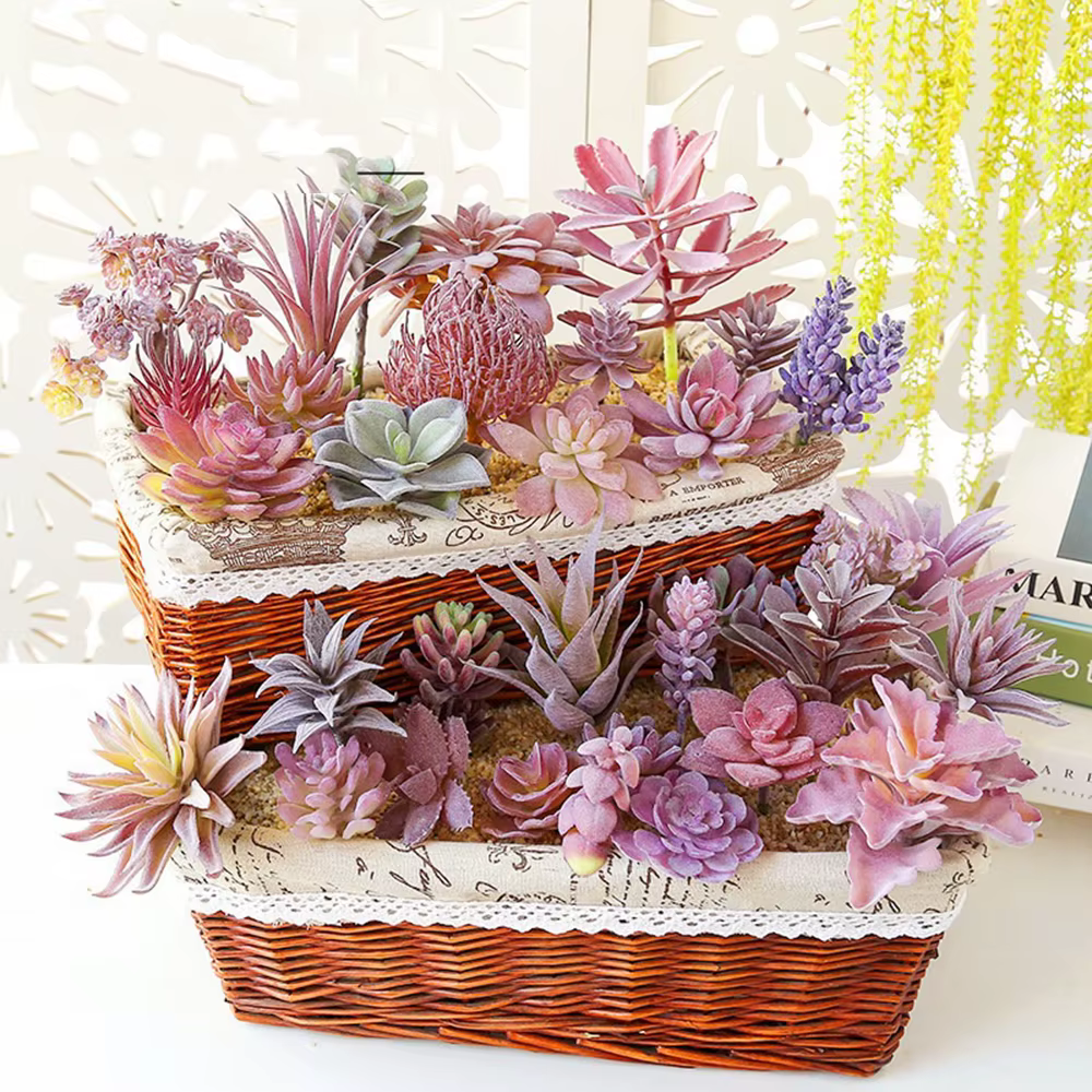Tête de fleur succulente