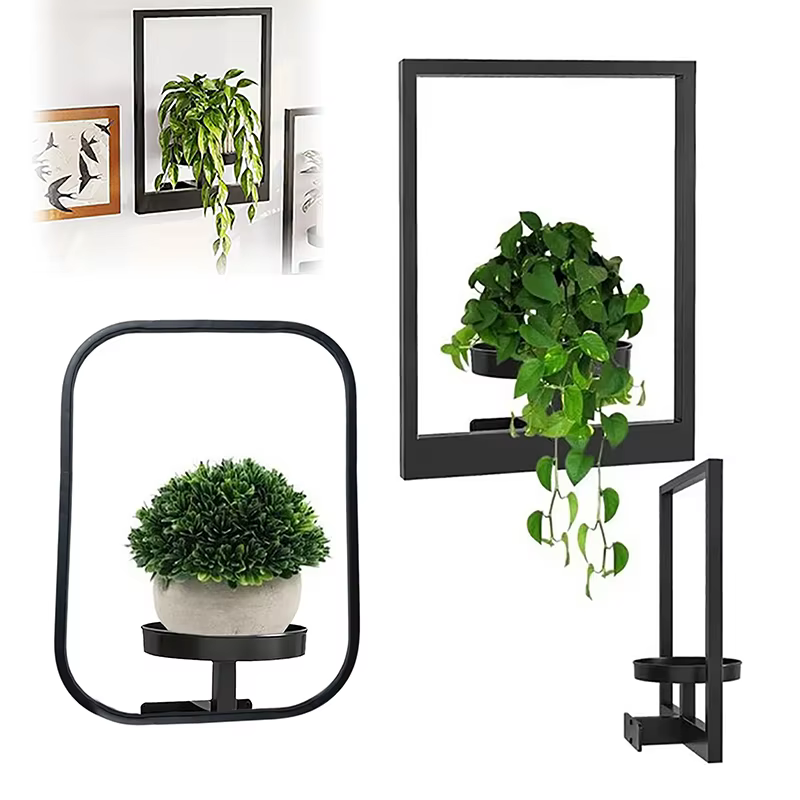 Cadre photo mural en métal pour plantes succulentes