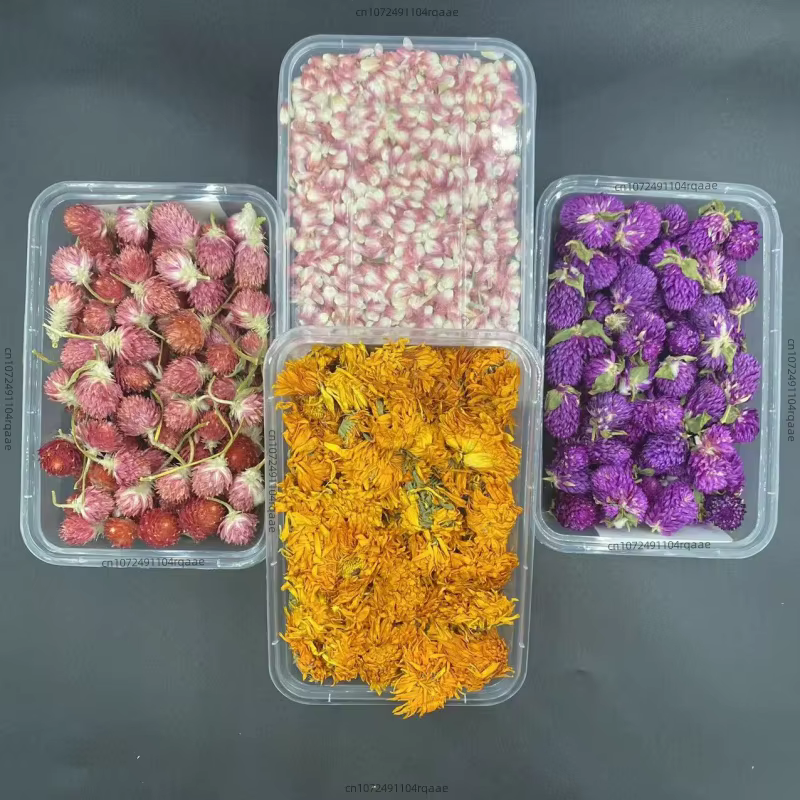 Fleurs séchées de jasmin et de rose naturelles de haute qualité pour la décoration de fêtes