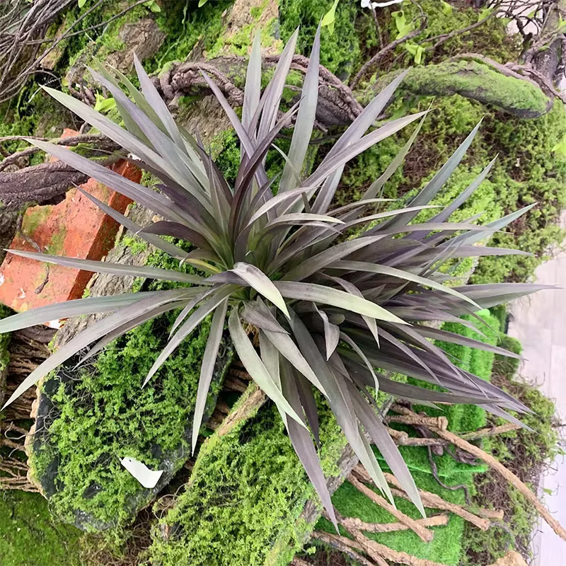 Plante artificielle en plastique pour la décoration murale de la maison
