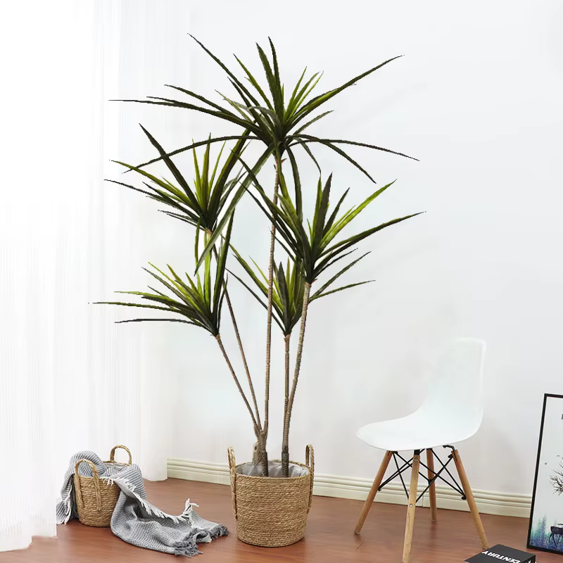 Plantes artificielles Dracaena