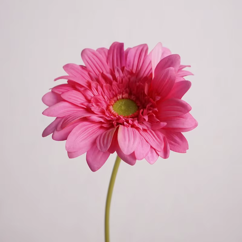 Gerbera-Fleurs Artificielles Hydratantes au Toucher Réel