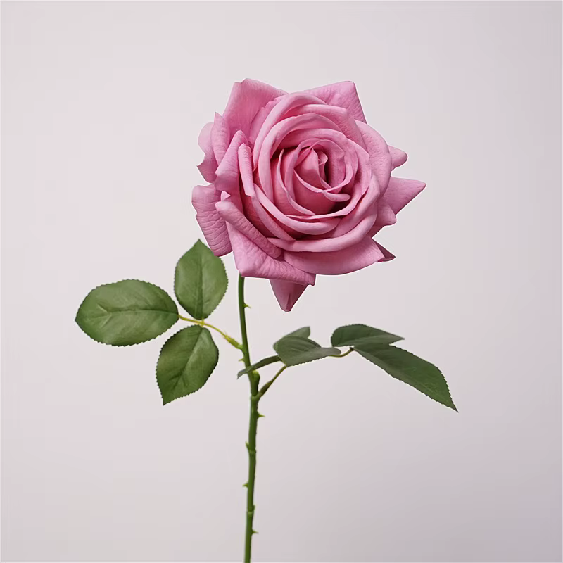 Lot de 5 Roses Artificielles Hydratantes Effet Réel pour Décoration de Mariage