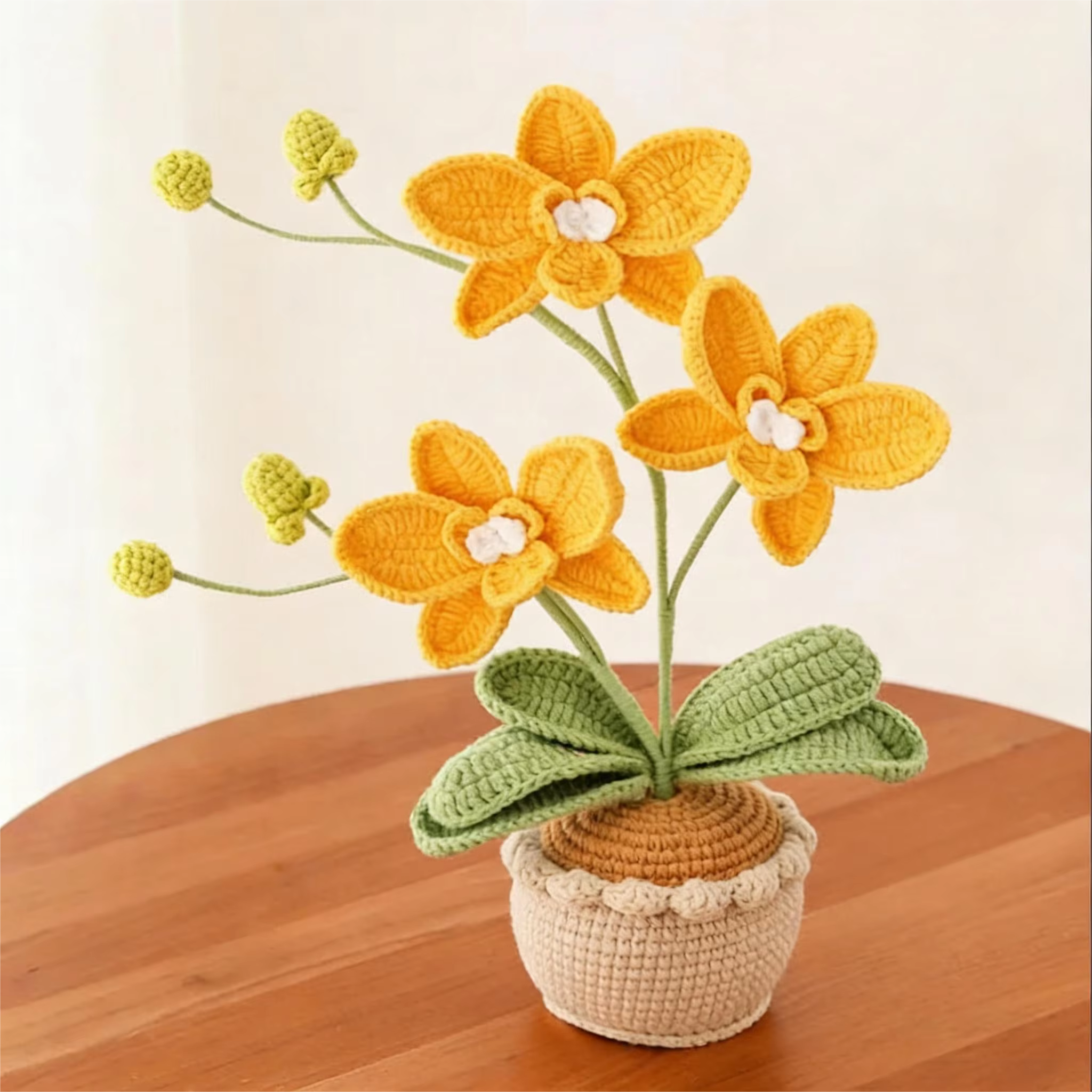 Nouvelle plante en pot en laine