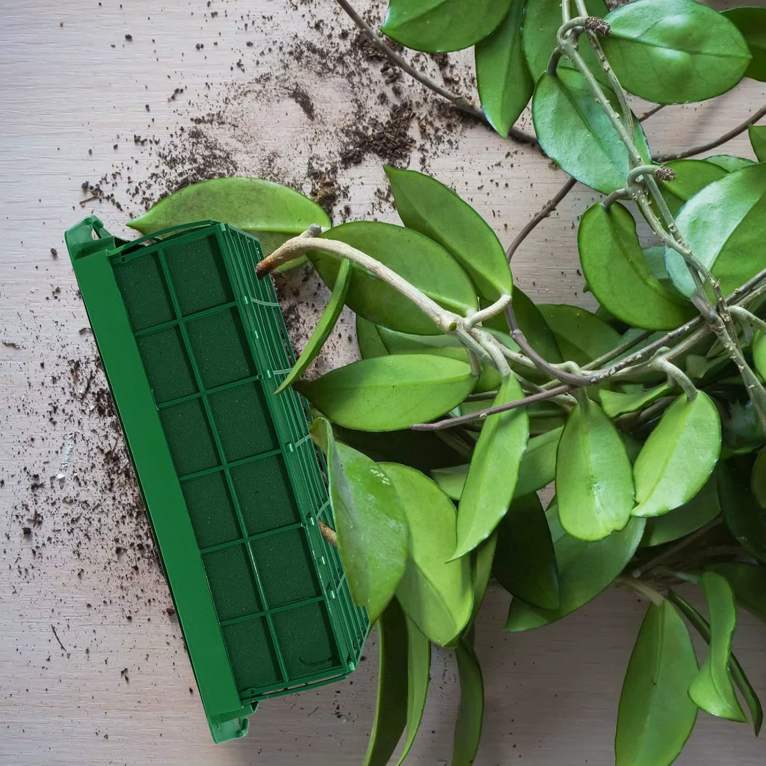 Blocs de Cage à fleurs en mousse