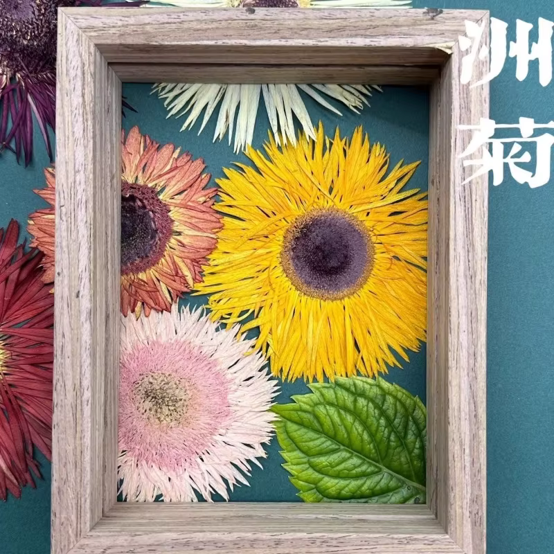 1 pièce, Kit d'artisanat de fleurs de gerbera séchées