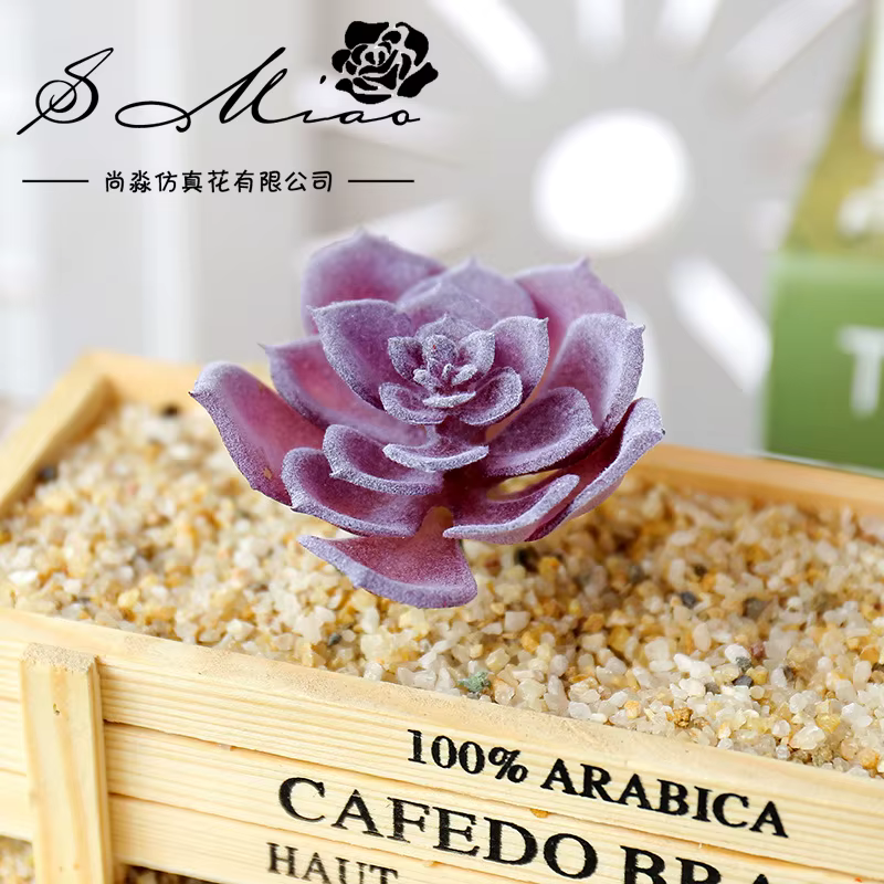 Wusmart – petites plantes succulentes artificielles Shui Lian