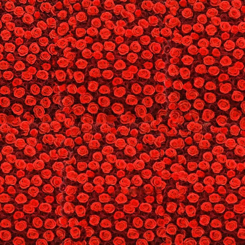 Mur de Roses Artificielles Astronomiques