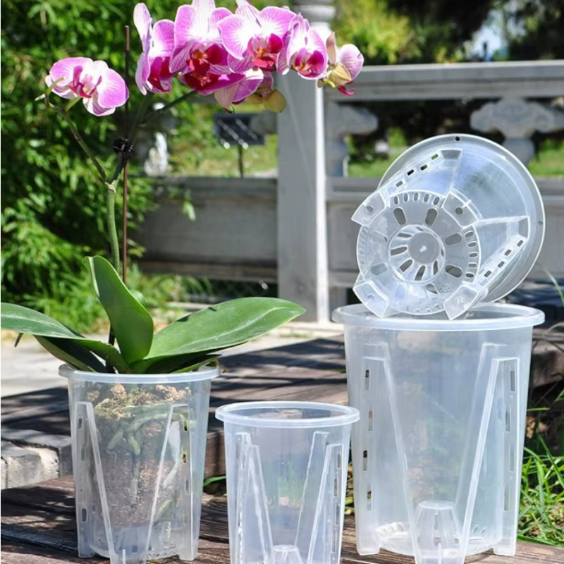 Pot de fleurs transparent 5/1x pour semis