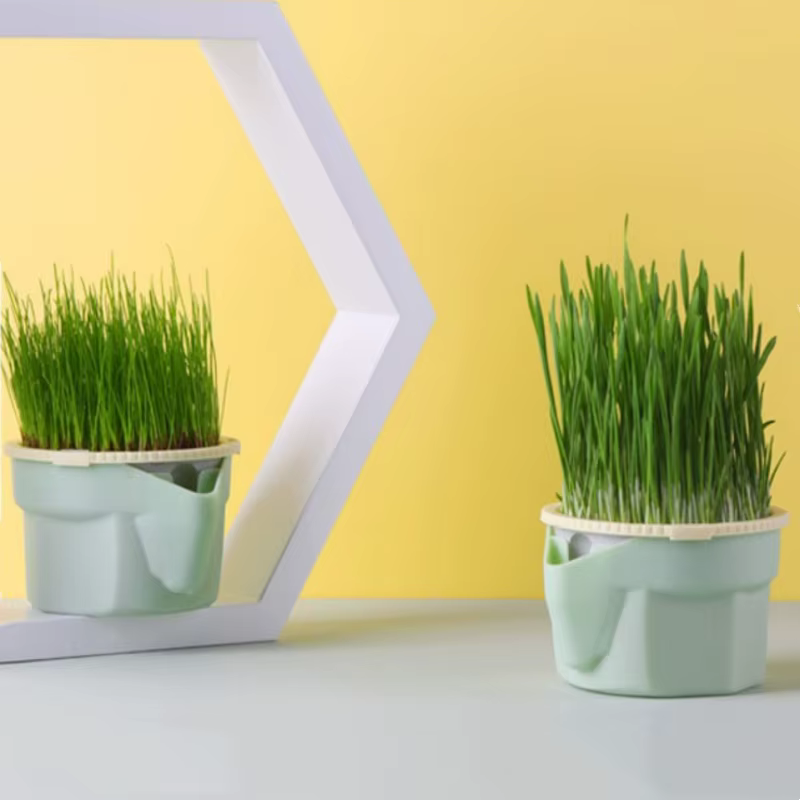 Tasse d'herbe pour chat