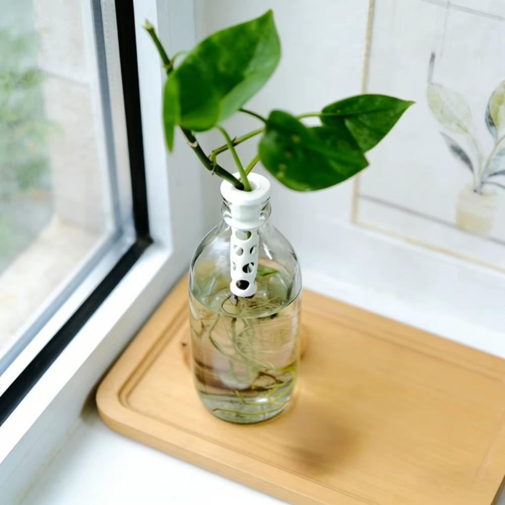 Support de plante hydroponique en plastique imprimé en 3D