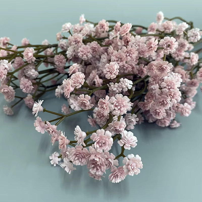 Fleur séchée Gypsophila de 62 cm de haute qualité