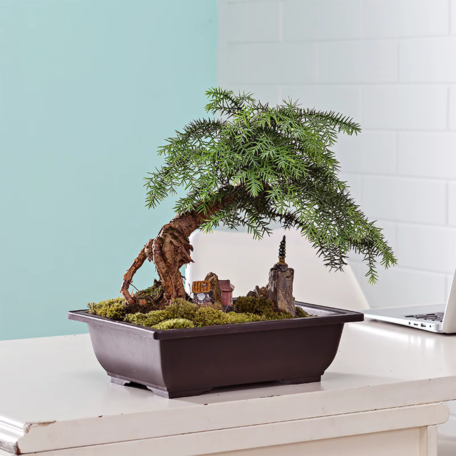 Pots de fleurs rectangulaires carrés en plastique