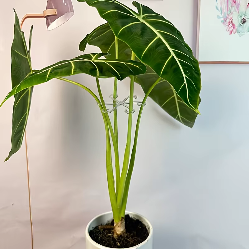 Ensemble de 4 clips de support de tige de plante