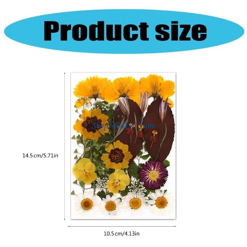 Fleur séchée pressée H7 pour moule en résine Feuilles fleurs séchées pressées naturelles pour le feuillette scrapbooking
