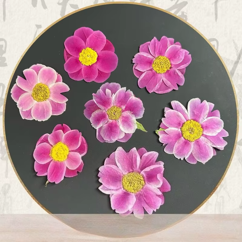 1 pièce, 8-10 cm